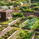 Allotments
