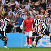Three Newcastle United players have been selected in this week's statistical Premier League 'Best XI' (Photo by Stu Forster/Getty Images)