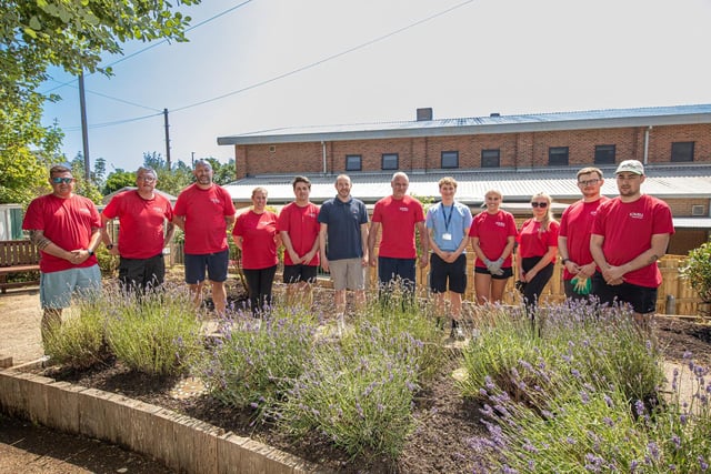 Lovell volunteers (all in red) with Healthworks Senior Manager of Operations Rob Joyce (centre left) and Operations Team Lead Ronan Embleton near the newly planted raised beds.