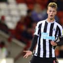 Niall Brookwell of Newcastle United U21 reacts during the Papa John's Trophy match between Barnsley and Newcastle United U21 at Oakwell Stadium on September 20, 2022 in Barnsley, England. (Photo by George Wood/Getty Images)