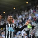 NEWCASTLE UPON TYNE, ENGLAND - MAY 19: Newcastle player Joe Willock celebrates after scoring the winning goal during the Premier League match between Newcastle United and Sheffield United at St. James Park on May 19, 2021 in Newcastle upon Tyne, England. (Photo by Stu Forster/Getty Images)