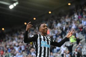 NEWCASTLE UPON TYNE, ENGLAND - MAY 19: Newcastle player Joe Willock celebrates after scoring the winning goal during the Premier League match between Newcastle United and Sheffield United at St. James Park on May 19, 2021 in Newcastle upon Tyne, England. (Photo by Stu Forster/Getty Images)