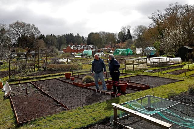 Where can I get an allotment in Newcastle? (Photo by ADRIAN DENNIS/AFP via Getty Images)