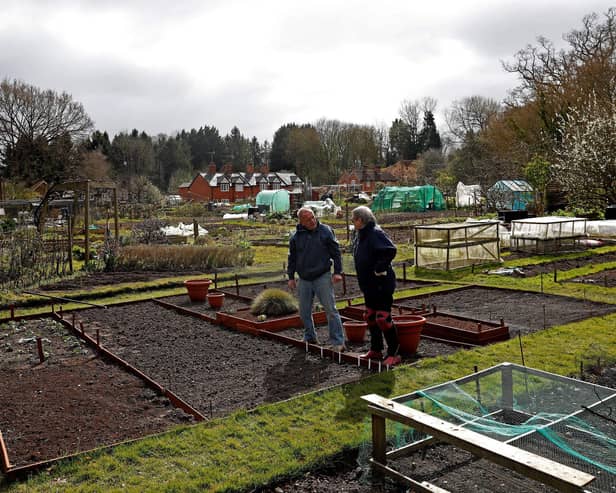 Where can I get an allotment in Newcastle? (Photo by ADRIAN DENNIS/AFP via Getty Images)