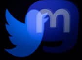 Logos of Twitter and Mastodon. (Pic credit: Joel Saget / AFP via Getty Images)