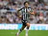 Newcastle United face Brentford blow as Eddie Howe provides Sandro Tonali fitness update