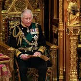 2023 Coronation: Everything you need to know if you want to host a street party in the North East. (Photo by Alastair Grant - WPA Pool/Getty Images)