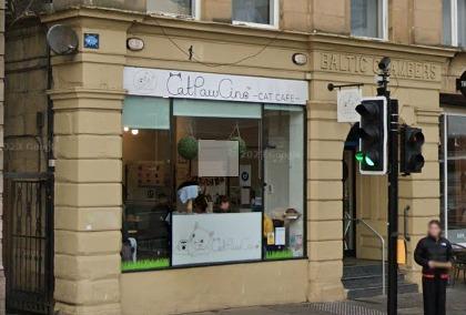 Catpawcino cat cafe was awarded a five star rating following an inspection in June 2021.