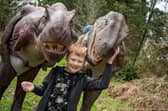 Dinosaurs are set to take over Adventure Valley this half term.