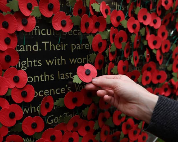 A person holds a poppy as they look at a wall made of 10,000 remembrance poppies following the RBL's Poppy Appeal 2022 (photo: Getty Images)