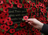 A person holds a poppy as they look at a wall made of 10,000 remembrance poppies following the RBL's Poppy Appeal 2022 (photo: Getty Images)