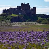 Bamburgh has been named as one of the UK's prettiest towns by The Times.
