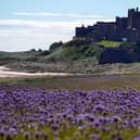 Bamburgh has been named as one of the UK's prettiest towns by The Times.