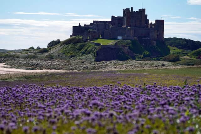 Bamburgh has been named as one of the UK's prettiest towns by The Times.