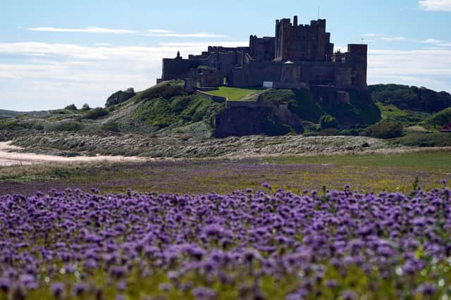 Bamburgh has been named as one of the UK's prettiest towns by The Times.