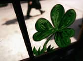 St Patrick's Day this year is on Thursday March 17. (Photo by Spencer Platt/Getty Images)