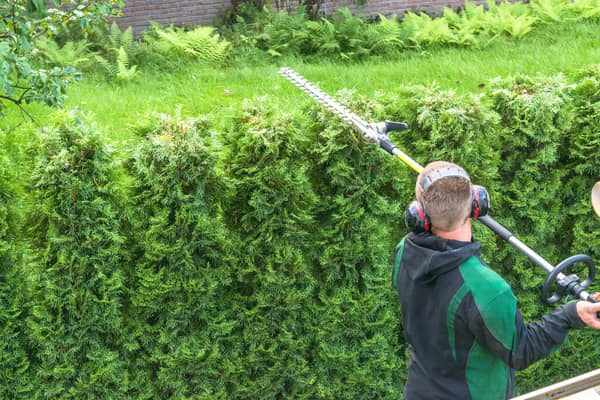 RM Garden Services has been crowned Crawley Town’s local winners of the ‘Behind the Badge’ competition – a nationwide campaign from Official Partner of the EFL, Sage, that shines a spotlight on the small businesses that serve their local communities.