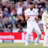 After picking up five wickets in one Ashes session, Wood is the golden boy of English cricket this week. Photo by Richard Heathcote/Getty Images