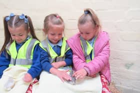 St Alban's Catholic Primary pupils visit Hall Hill Farm