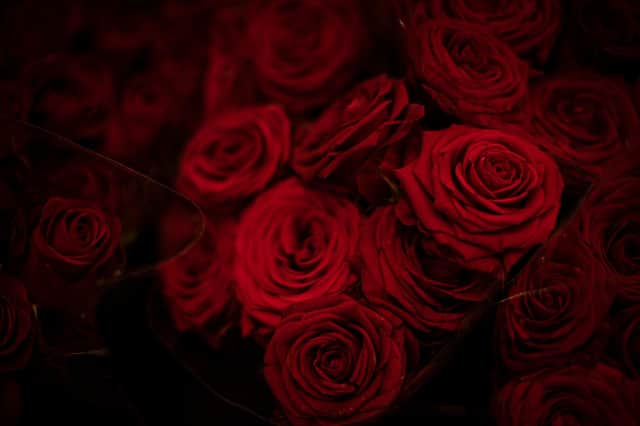 What are your plans for Valentine's Day this year? Photo by Siegfried Modola/Getty Images