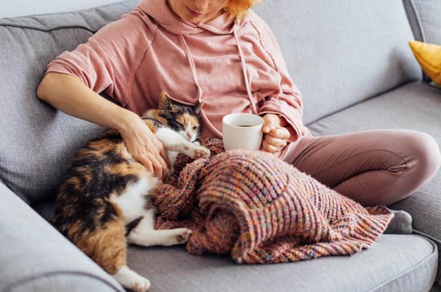 Using blankets and warmer fabrics will keep your home warm