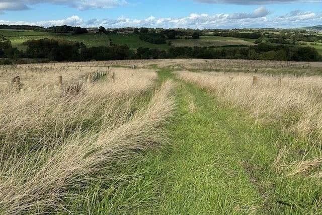The restored Bradley surface mine site near Leadgate in County Durham