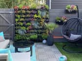 A wall of greenery or flowers can completely transform a dull corner of the garden
