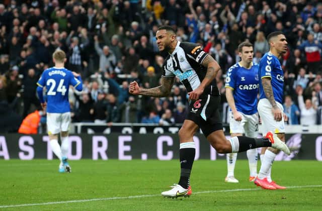 Jamaal Lascelles celebrates Newcastle United's equaliser.