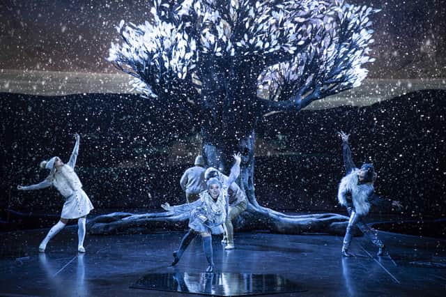 The Celebrity apex entertainment team performing 'The Tree of Life' show. Image: Michel Verdure