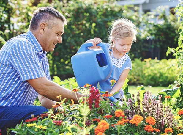 August often means summer holidays away from home – but it is important to not neglect your garden. Ask friends, family, and neighbours to water plants and flowers