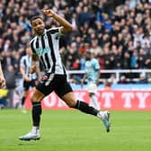 Callum Wilson of Newcastle United celebrates after scoring the team's first goal during the Premier League match between Newcastle United and Southampton FC at St. James Park on April 30, 2023 in Newcastle upon Tyne, England. (Photo by Stu Forster/Getty Images)