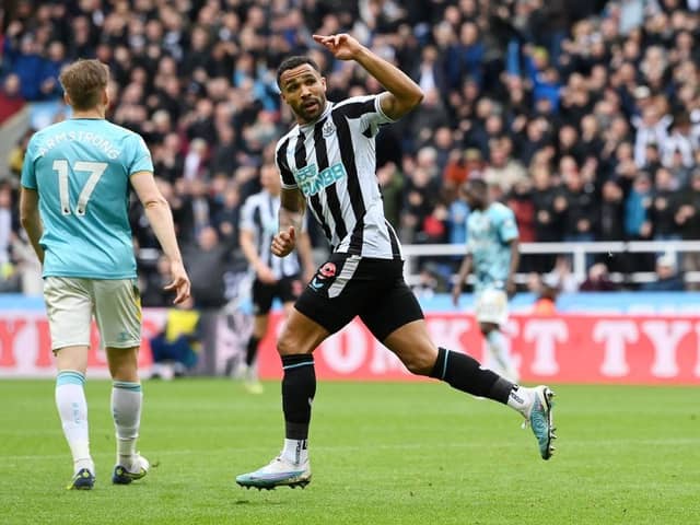 Callum Wilson of Newcastle United celebrates after scoring the team's first goal during the Premier League match between Newcastle United and Southampton FC at St. James Park on April 30, 2023 in Newcastle upon Tyne, England. (Photo by Stu Forster/Getty Images)