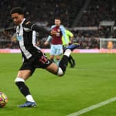 Jamal Lewis could be allowed to leave Newcastle United on loan this month 