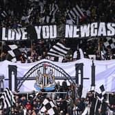 Newcastle United are battling to retain their Premier League status. (Photo by Stu Forster/Getty Images)