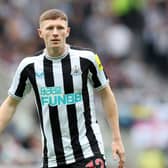 Newcastle United midfielder Elliot Anderson.
