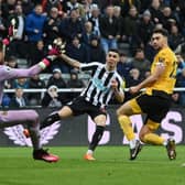 Miguel Almiron of Newcastle United scores the team's second goal during the Premier League match between Newcastle United and Wolverhampton Wanderers at St. James Park on March 12, 2023 in Newcastle upon Tyne, England. (Photo by Michael Regan/Getty Images)