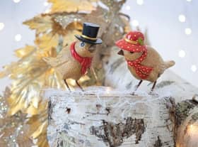 These Duckensian Birds are the perfect Christmas present!