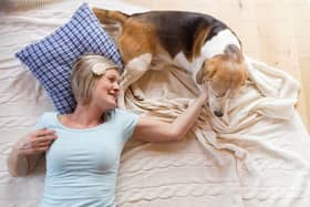 Fed-up wives and girlfriends say their dog is more dependable than their man