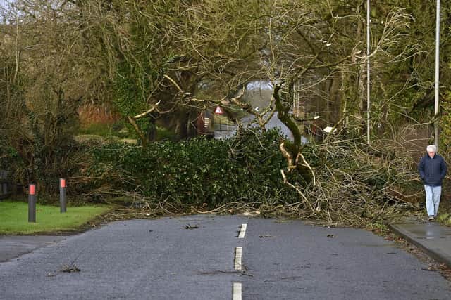 Storm Eowyn battered the North East in January. Photo: Oliver McVeigh/PA Wire