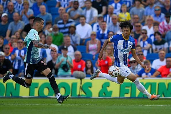 Brighton's Japan international Kaoru Mitoma could be in line to start at Forest Green in the Carabao Cup tomorrow night
