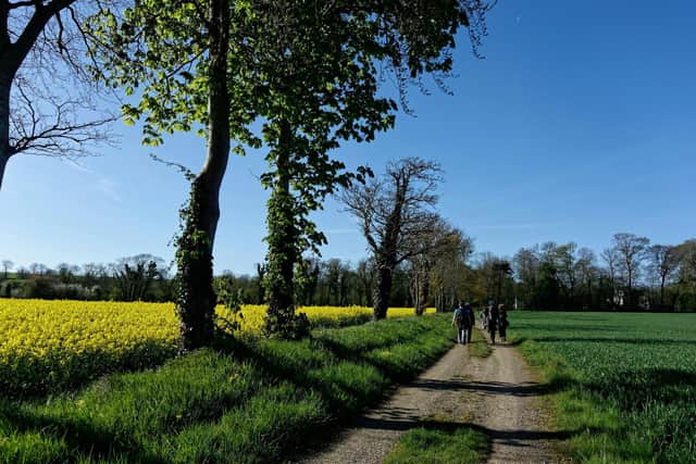 Could You Sign Up This National Walking Month?