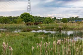Howdon Treatment Works