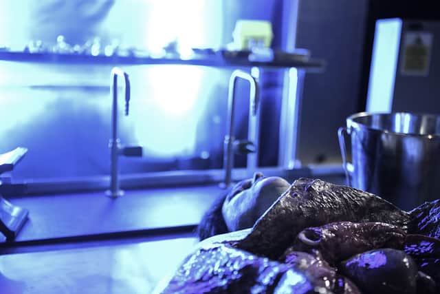 The Post Mortem Live is returning to Newcastle in October 2024.