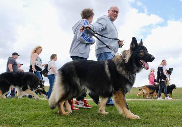 This weekend marks Love Your Pet Day. (Photo by Ian Forsyth/Getty Images)