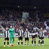 Newcastle United are battling to retain their Premier League status. (Photo by George Wood/Getty Images)