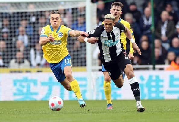 Brighton and Hove Albion welcome Eddie Howe's Newcastle to the Amex Stadium in the Premier League this Saturday