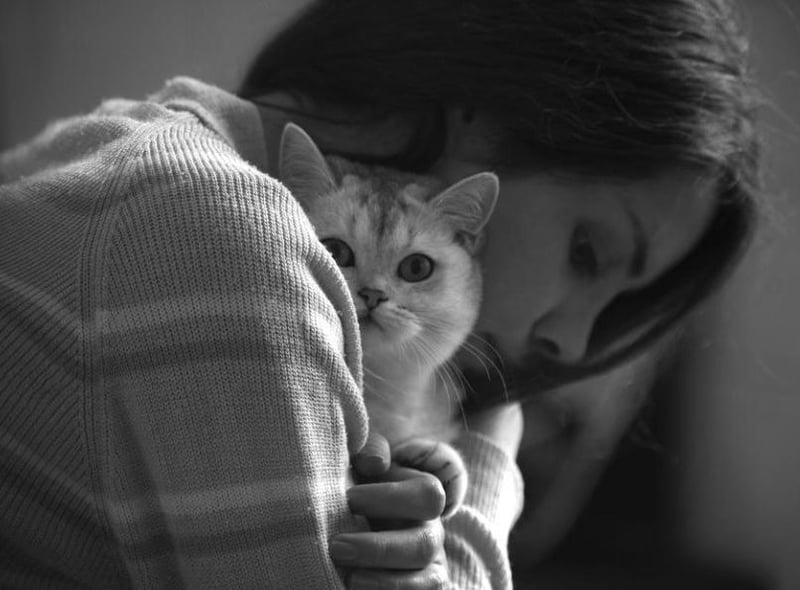 Whether it's a cat, dog, rabbit or hamster, cuddling your pet is top of the list of ways to de-stress with a whopping 40 per cent in the poll results