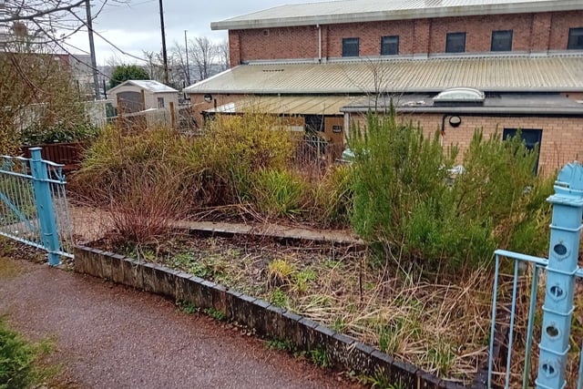 The garden at The Lemington Centre before the transformation.
