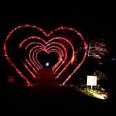 Heart Arch Walk is a star of the show at Christmas at Gibside 2022