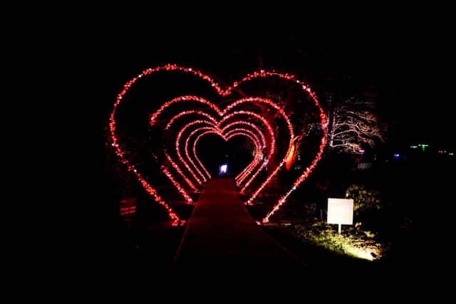 Heart Arch Walk is a star of the show at Christmas at Gibside 2022